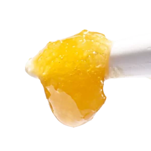 Buy Caramel Apple Gelato Live Rosin